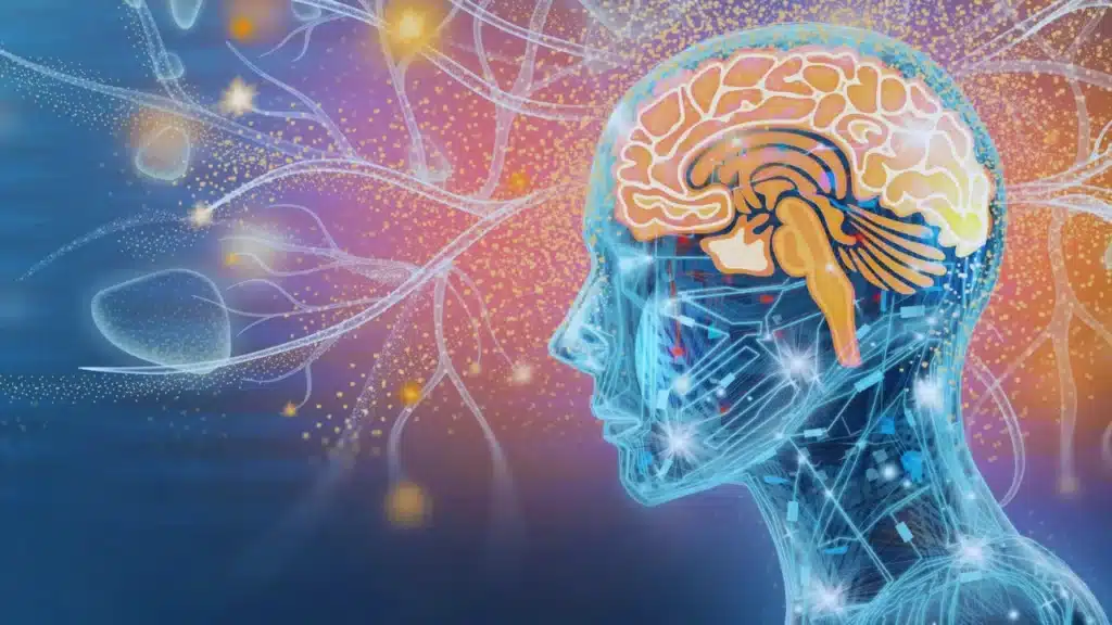 Brain Aneurysm Survival Rate by filmy4wap.pro