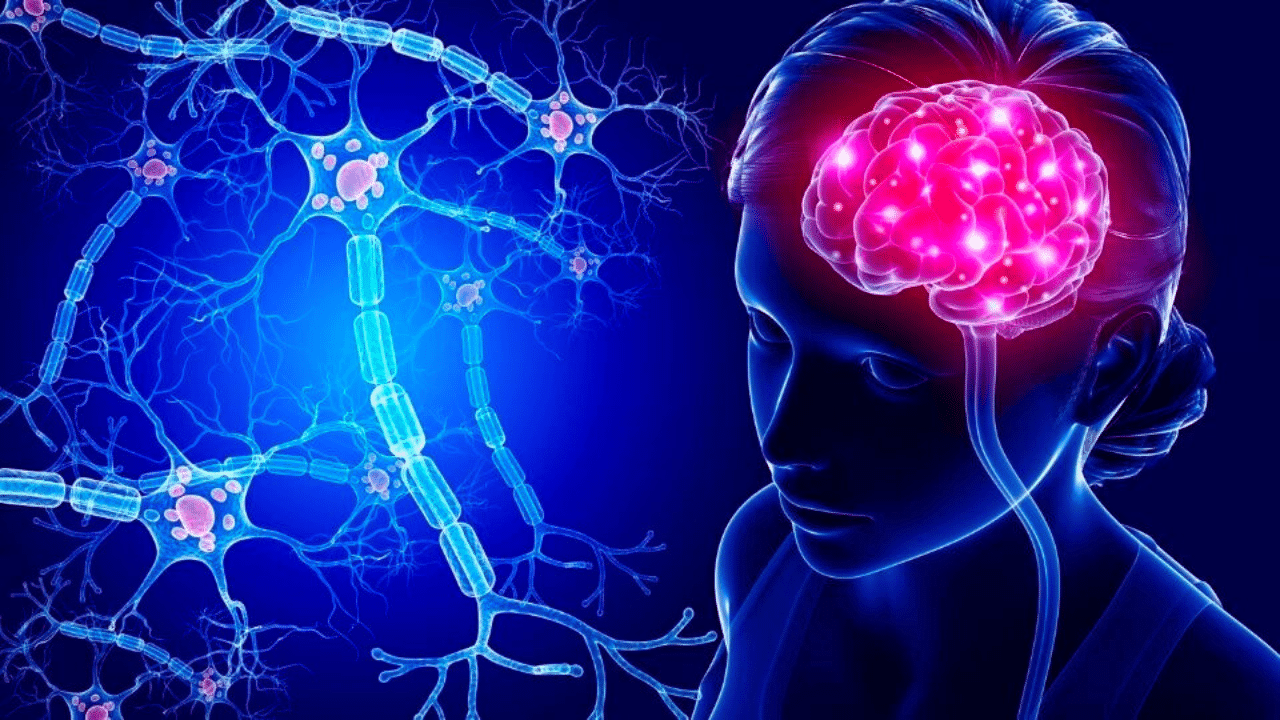 Brain Aneurysm Survival Rate